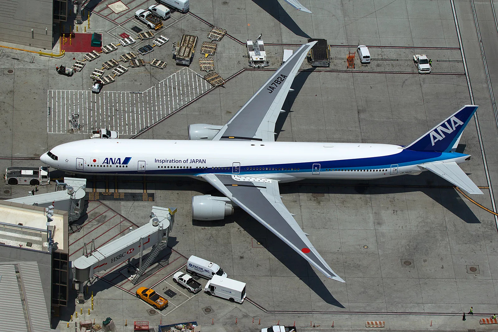 Livery of the Week: ANA