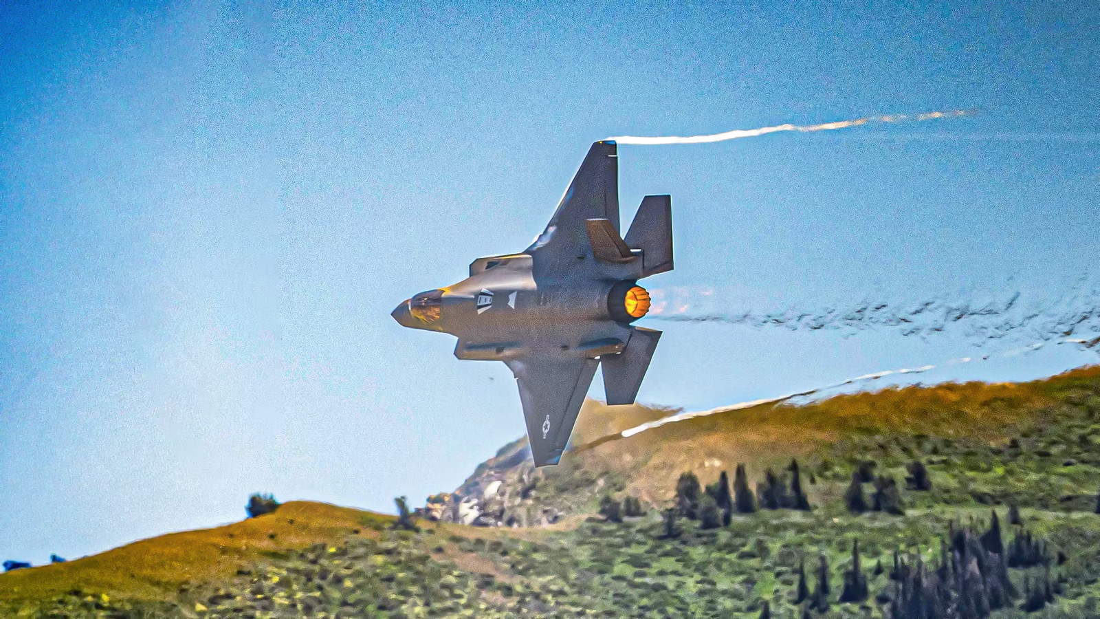 Here's Why The US Air Force Chose The F-35A Over The F-22 For Export Partners