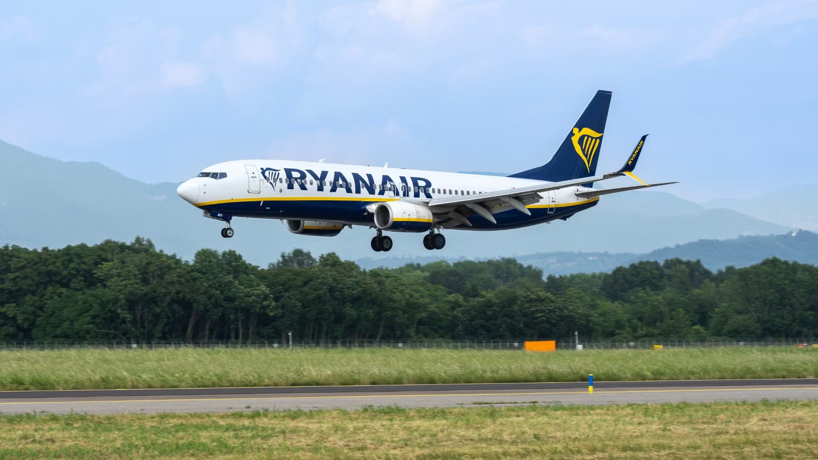NTSB Investigators Found Bird Remains In Engine After Ryanair Passenger Sucked Through Window