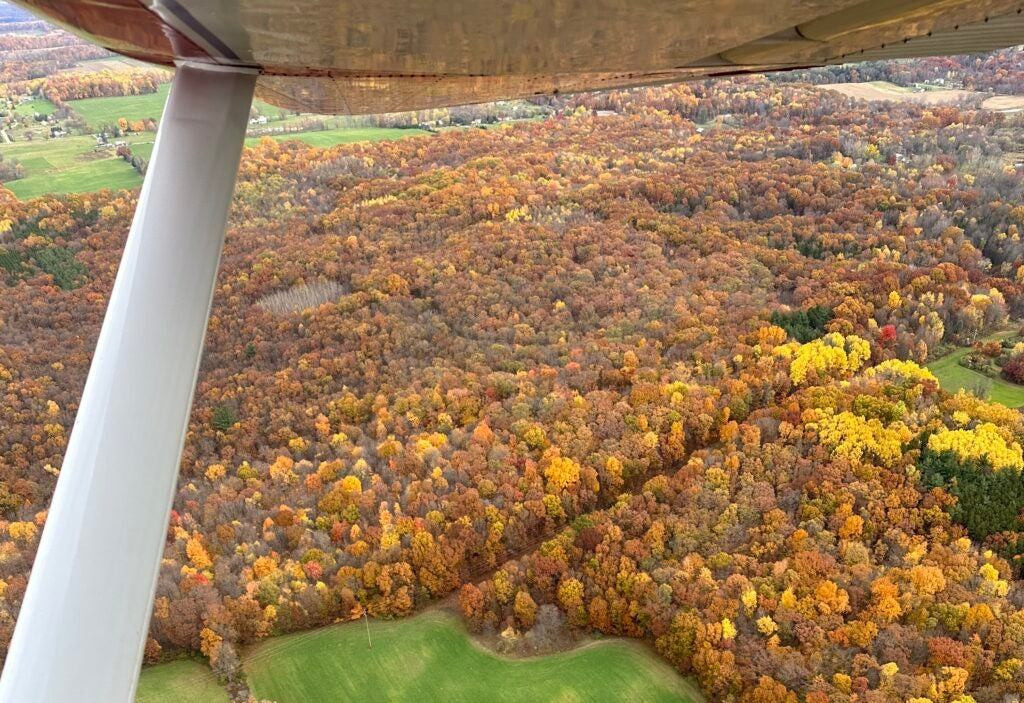 How to Navigate Hazards and Distractions of Fall Flying