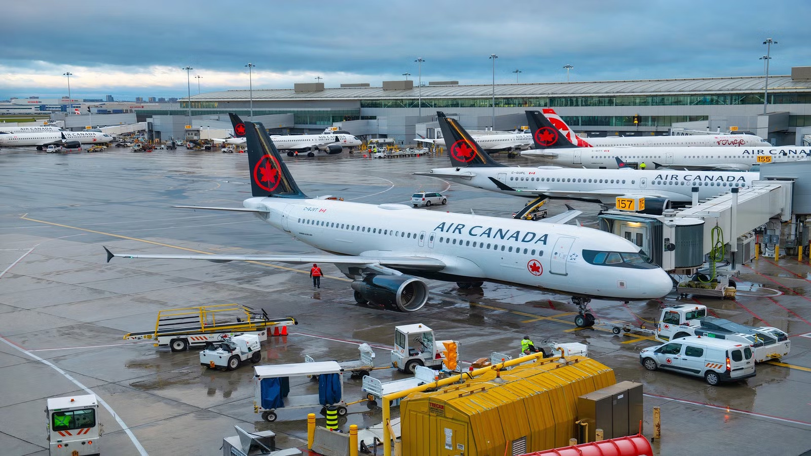 Air Canada Cuts 5 US Routes: See All Major Flight Changes Now