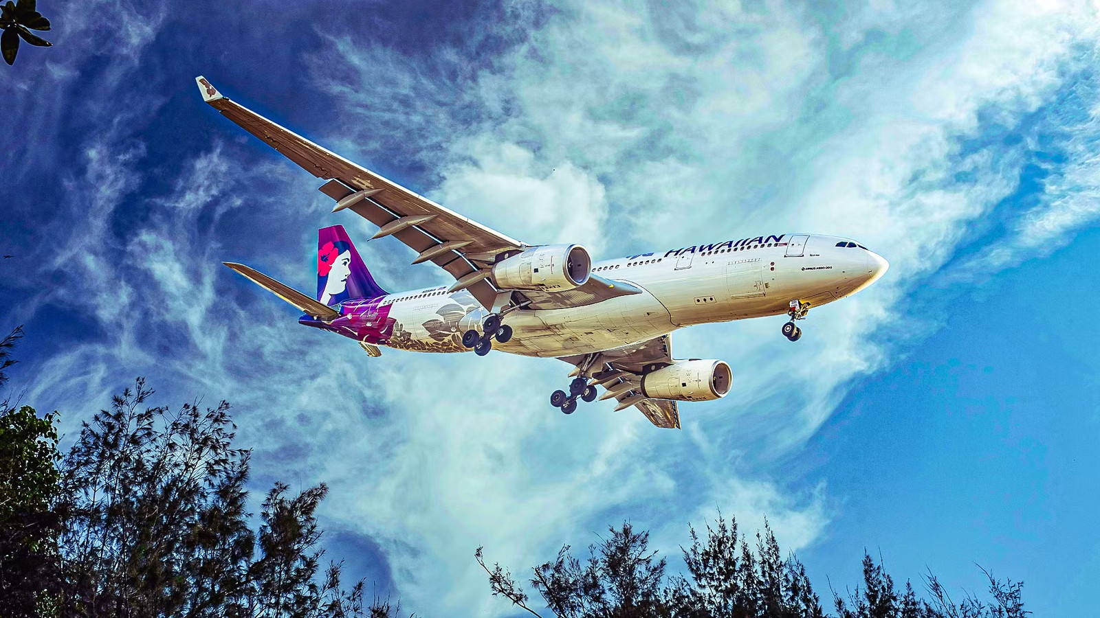 Hawaiian Airlines A330 Flew Again Just Hours After Mystery Odor Sickened 7 Crew