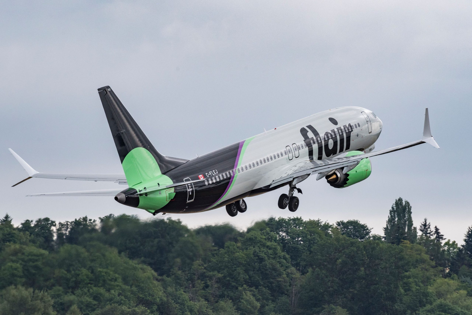 Former Flair Airlines and Bonza owner pleads guilty to fraud