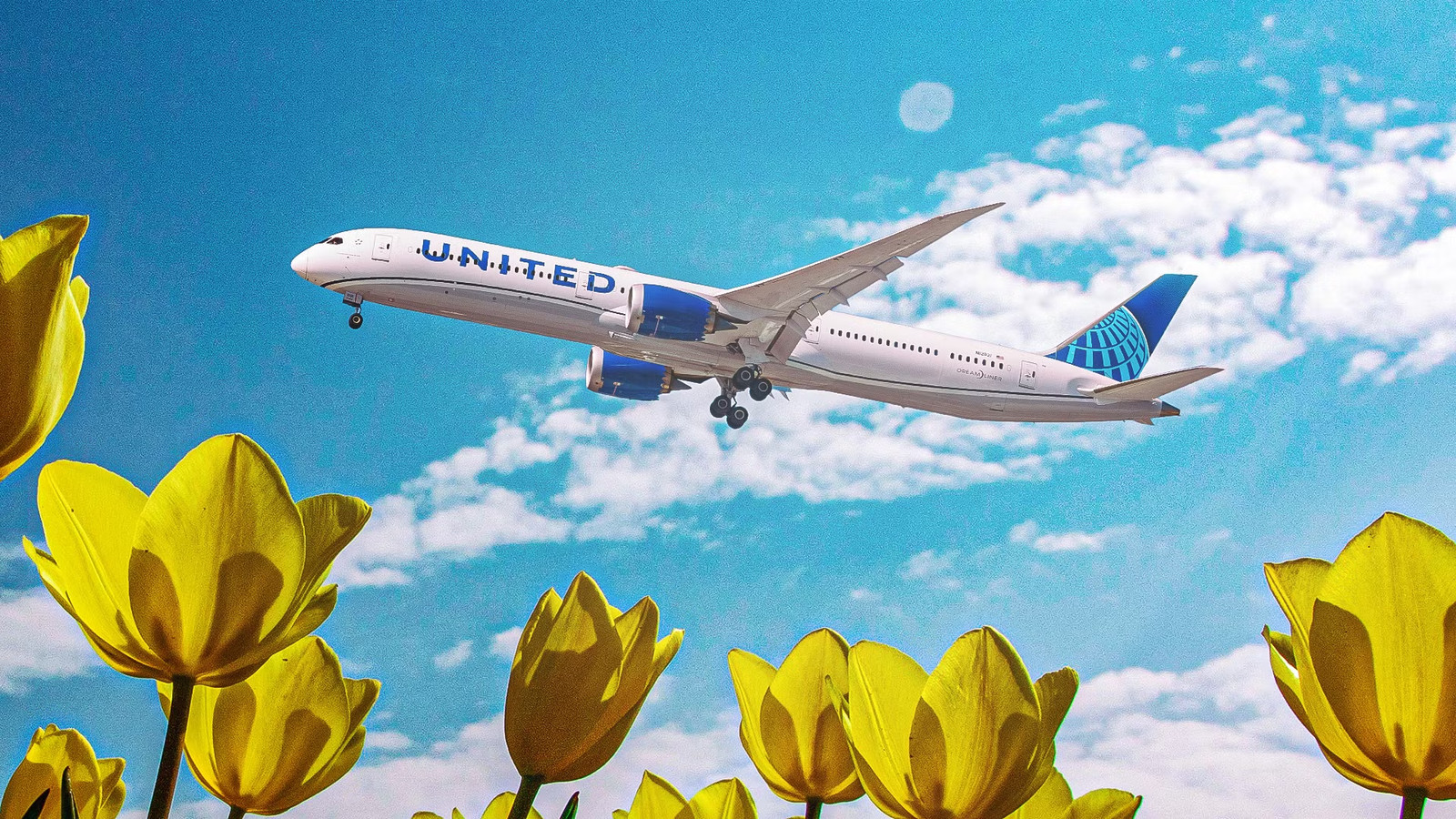 16-Hour Flights: United Launches New Ultra-Long Nonstop Route In 2 Weeks [Map]