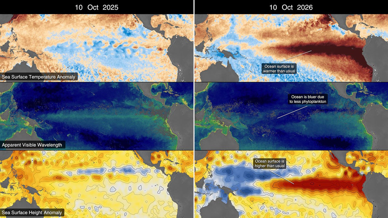 NASA Satellites Observe Historic 2026 El Niño