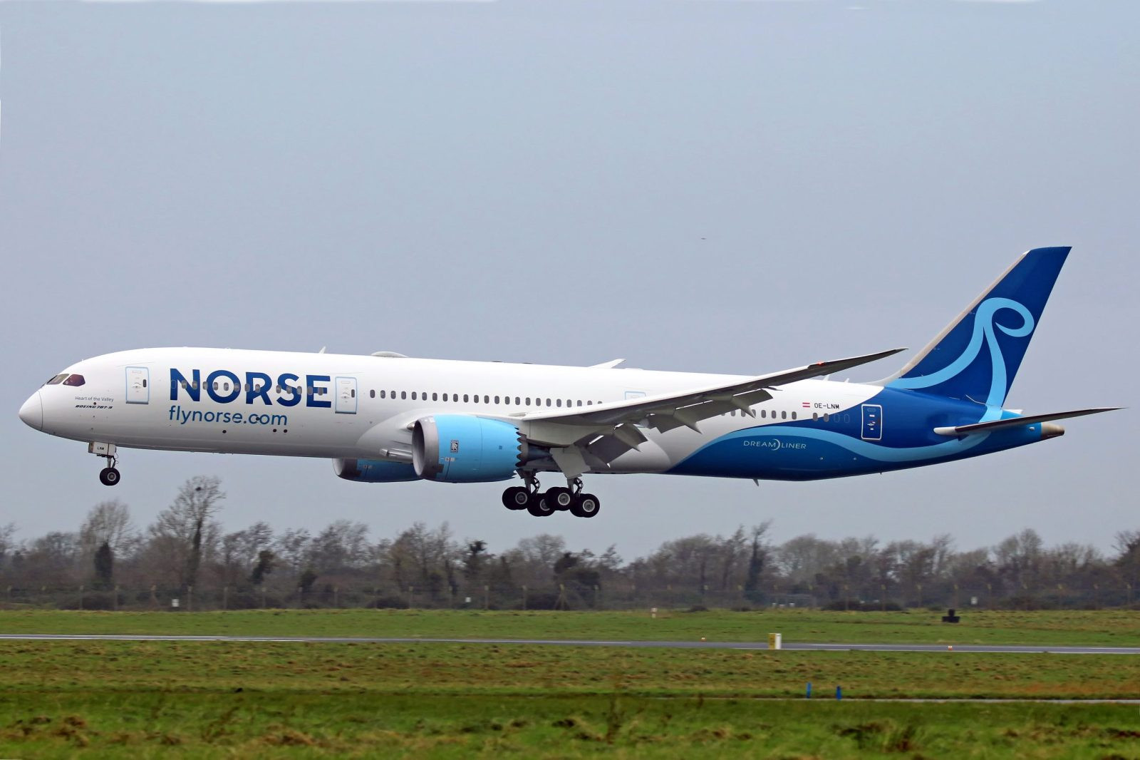 Norse Atlantic Looks for Potential Buyer, Partner