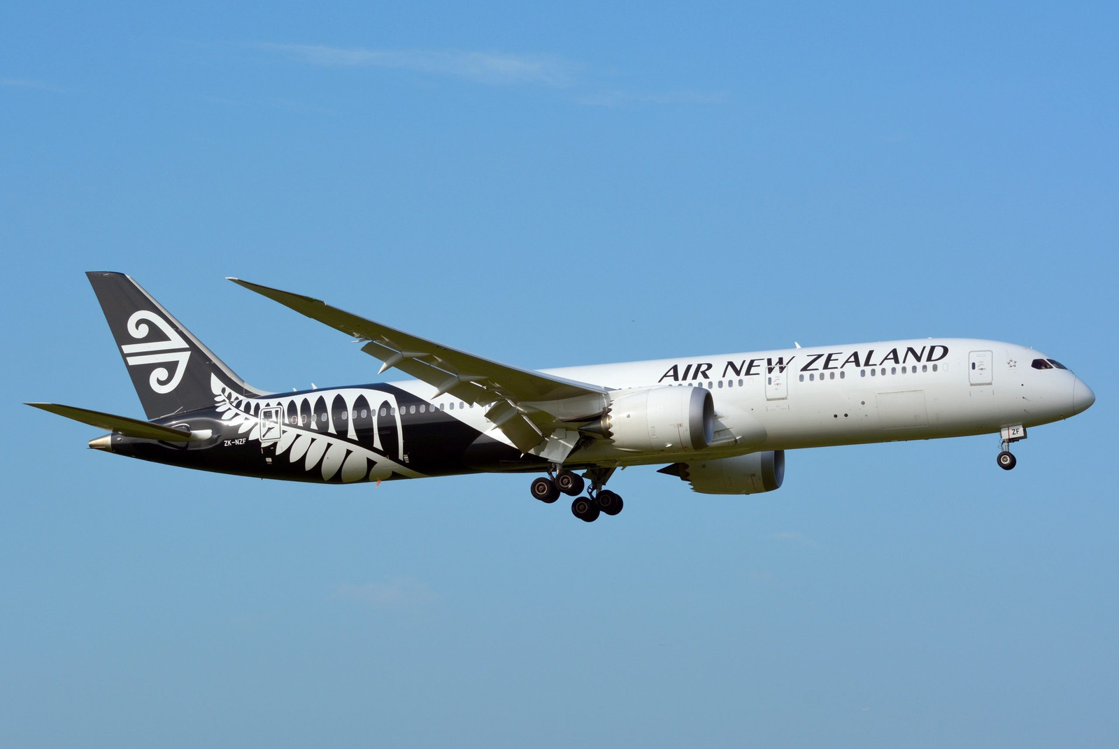 Air NZ says engine issues ‘substantially behind us’ as groundings dwindle