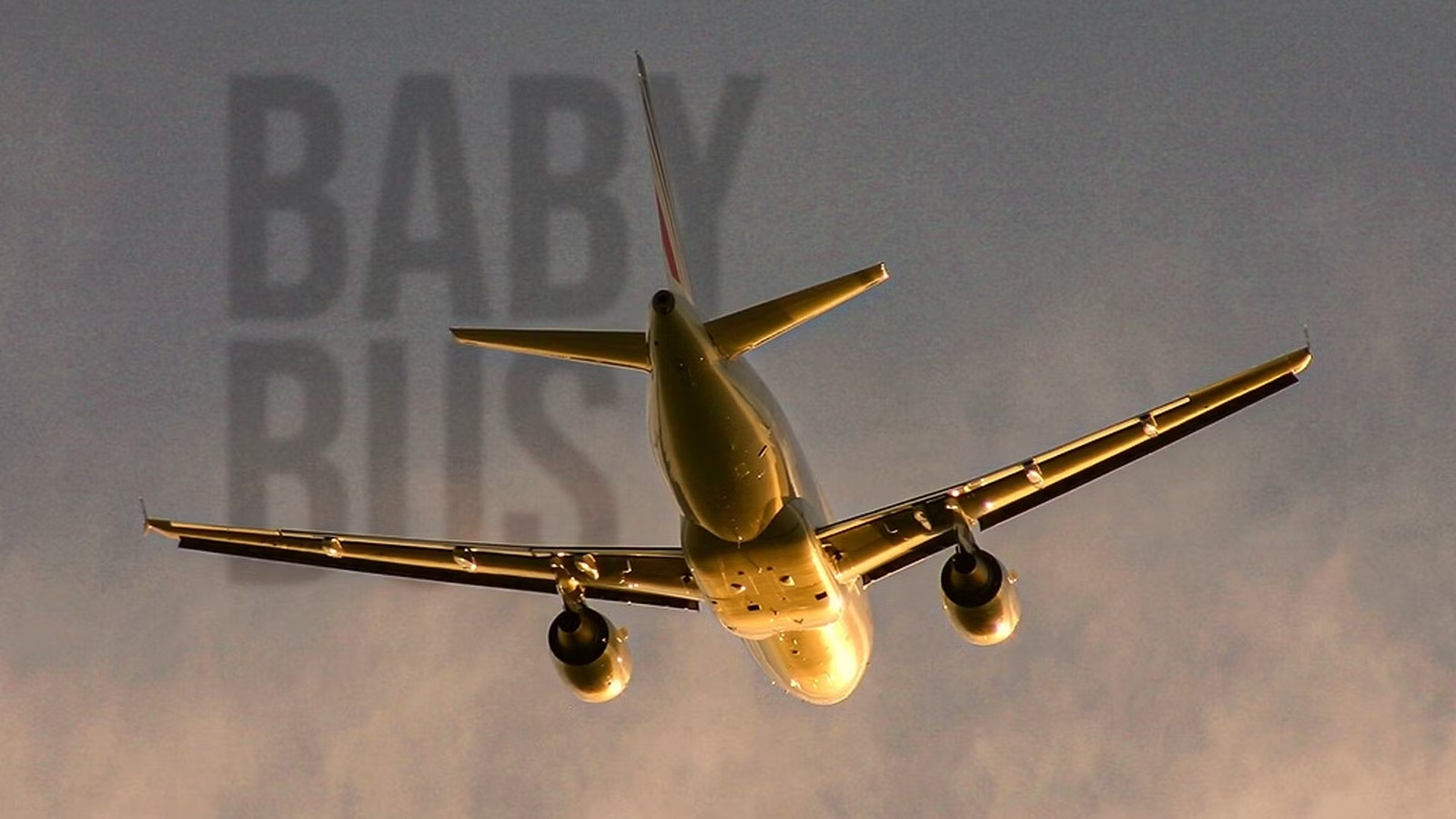 Airbus Built A Plane No Airline Wanted: Now Enthusiasts Are Racing To Fly It