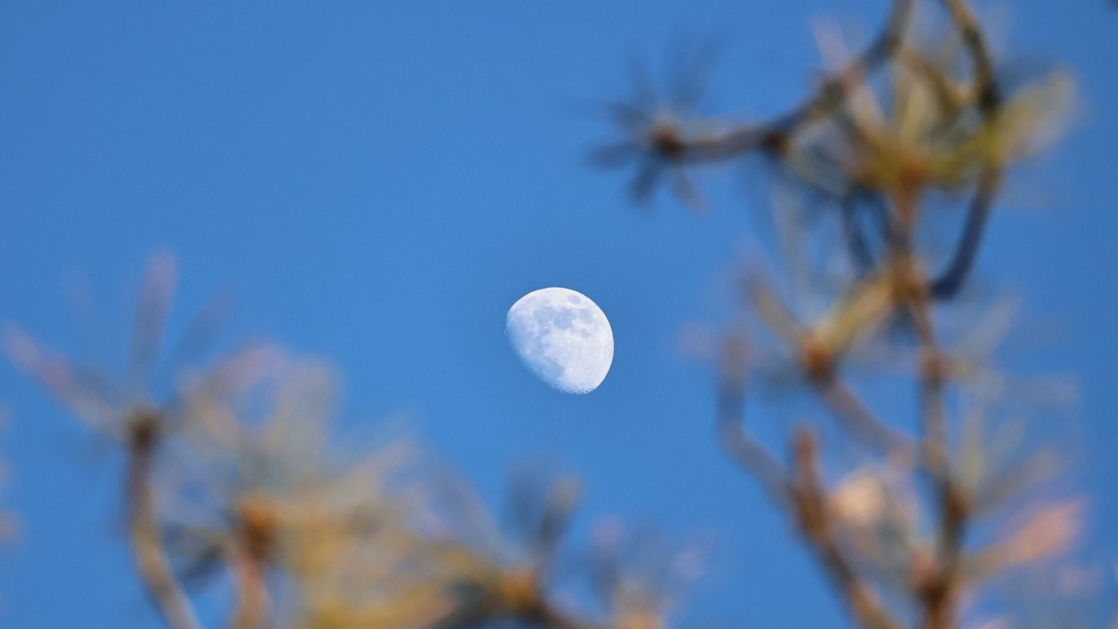 Why can you see the moon during the day? This week is the perfect time to find out