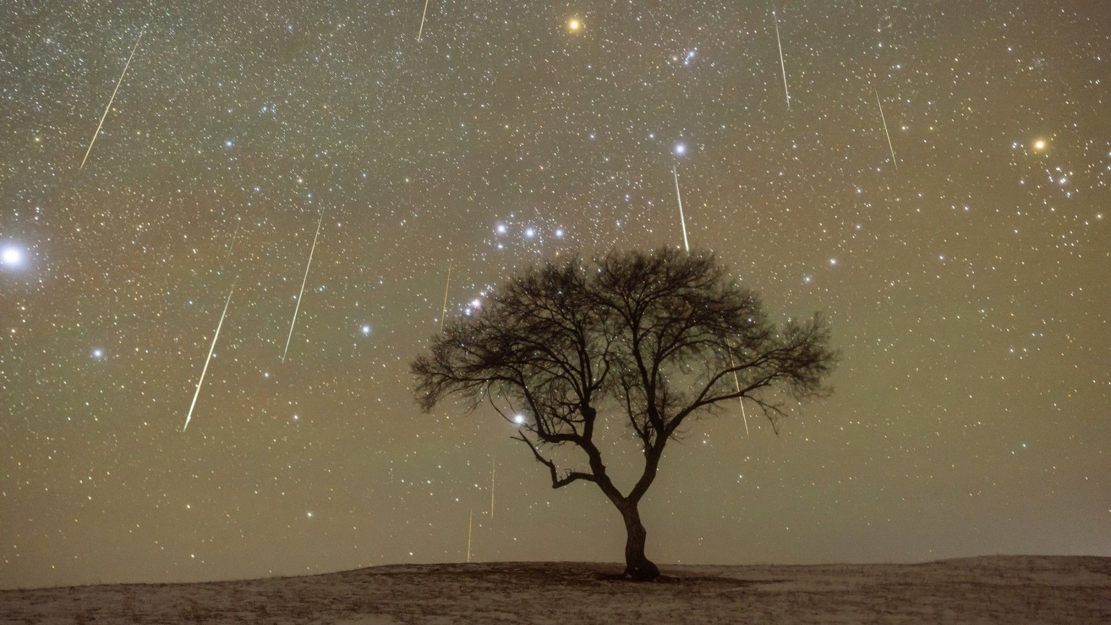 When not to watch a meteor shower — why I'm not staying up for the Orionids