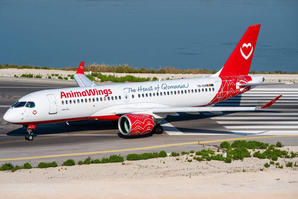 Animawings suspends all flights and enters restructuring process