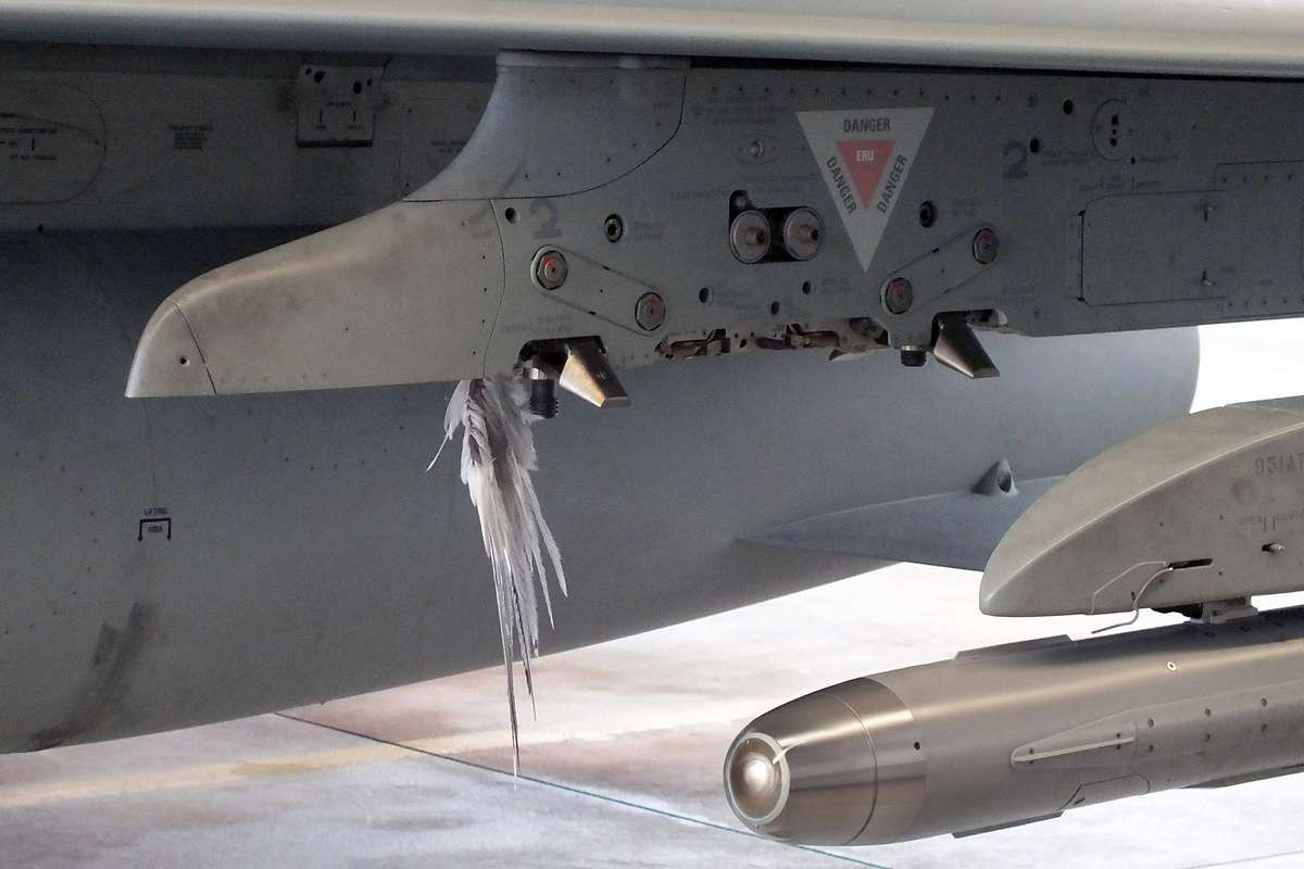 Germany builds radar-powered bird warning system for military aircraft