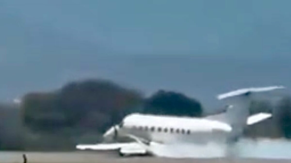 Safari plane makes emergency landing after reported zebra strike in Tanzania