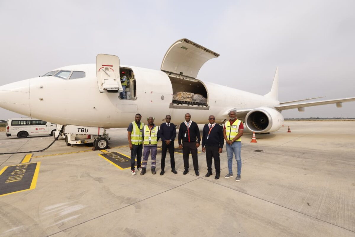 Angolan carrier TAAG transports live lions from South Africa to Nigeria