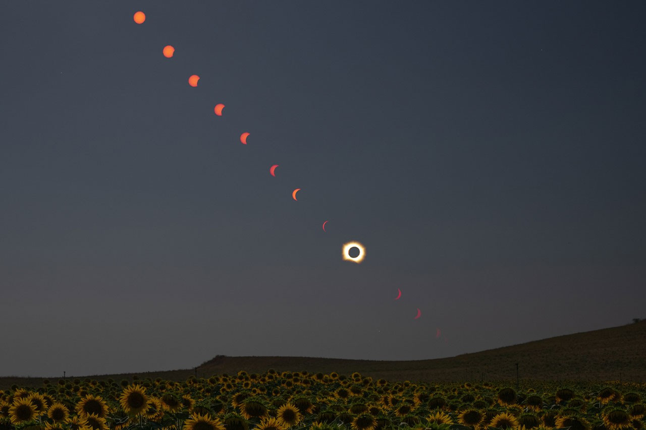 A Sunflower’s View of Totality