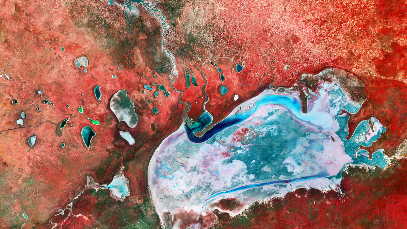 Namibian salt flats look like an alien planet | Space photo of the day for Oct. 12, 2026