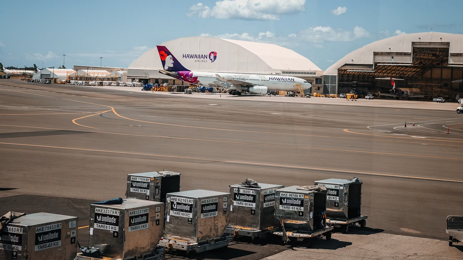 Alaska Airlines Sued For $521,900 After 11 Japanese Paintings Ruined In Honolulu Rainstorm