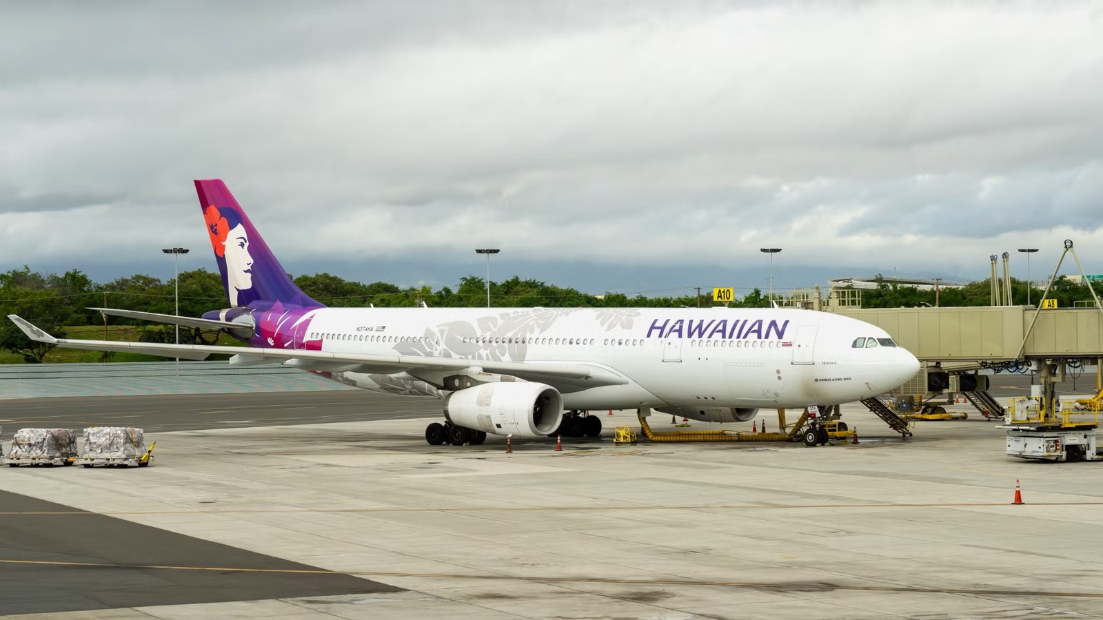 140+ Cancelations In 3 Days: Hurricane Lala Wreaks Havoc On Hawaiian Airlines Flights