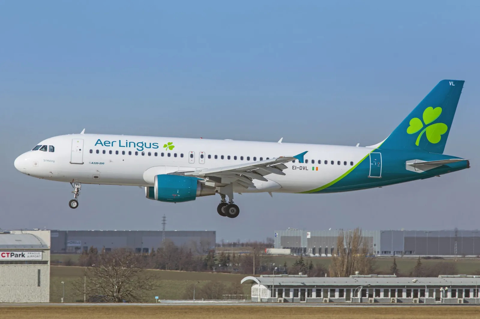 Livery of the Week: Aer Lingus