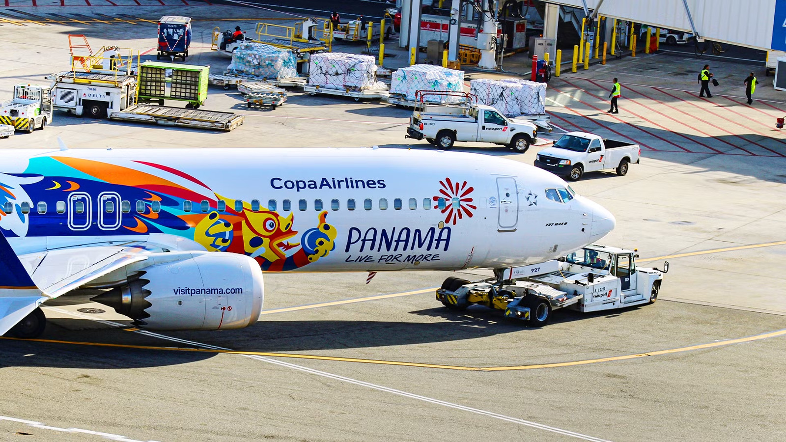 The Real Reason Why This Airline Doesn't Want Any Widebodies In Its Fleet