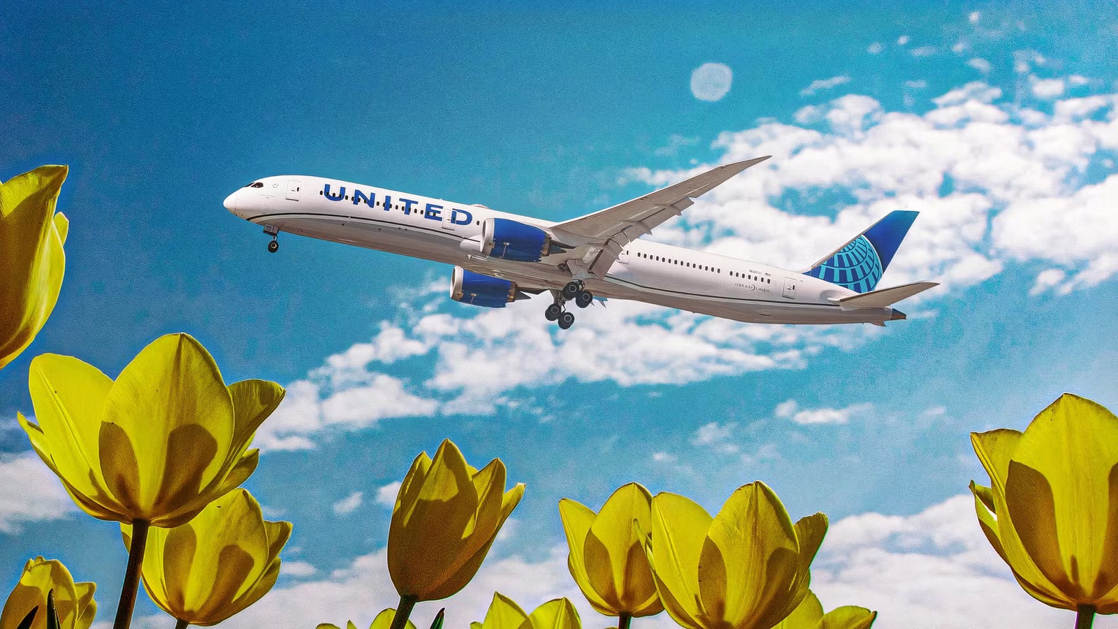 Expert Urges United Airlines To Launch This New 15-Hour Nonstop Route: Here's Why