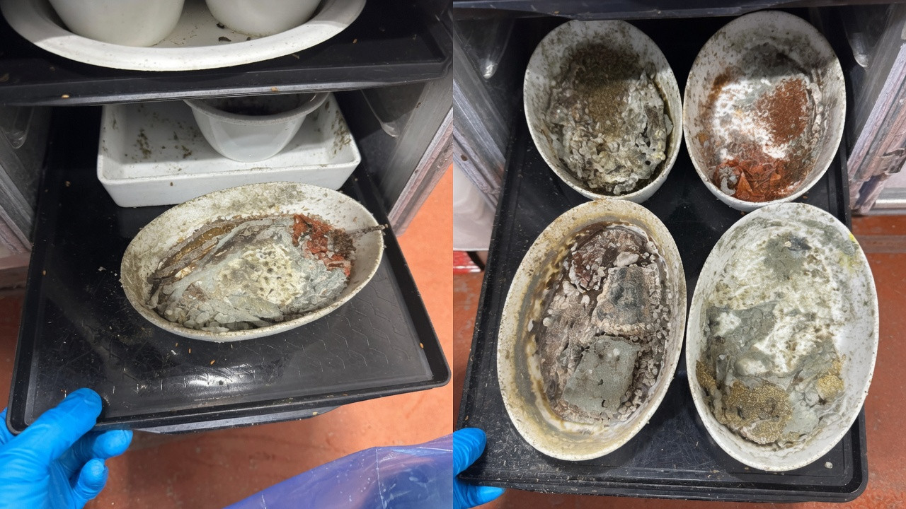 Employees Say LAX Airline Caterer Served Meals On Dishes Found With Mold, Maggots And Flies 10.0+/10