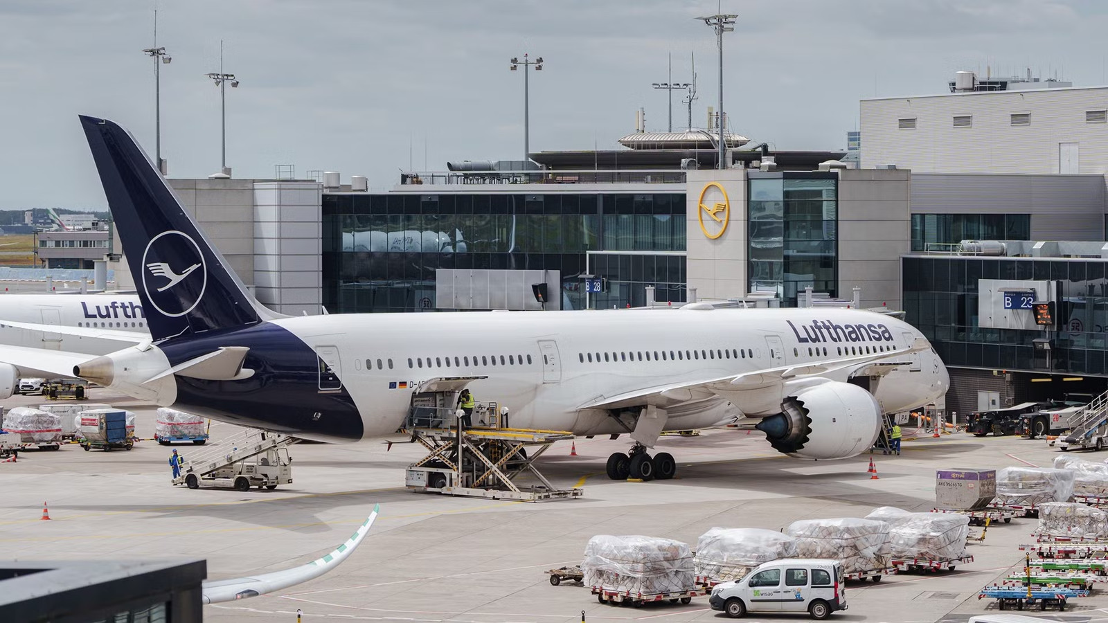 Lufthansa Reveals Major New 14-Hour Nonstop Long-Haul Routes: See Map Now