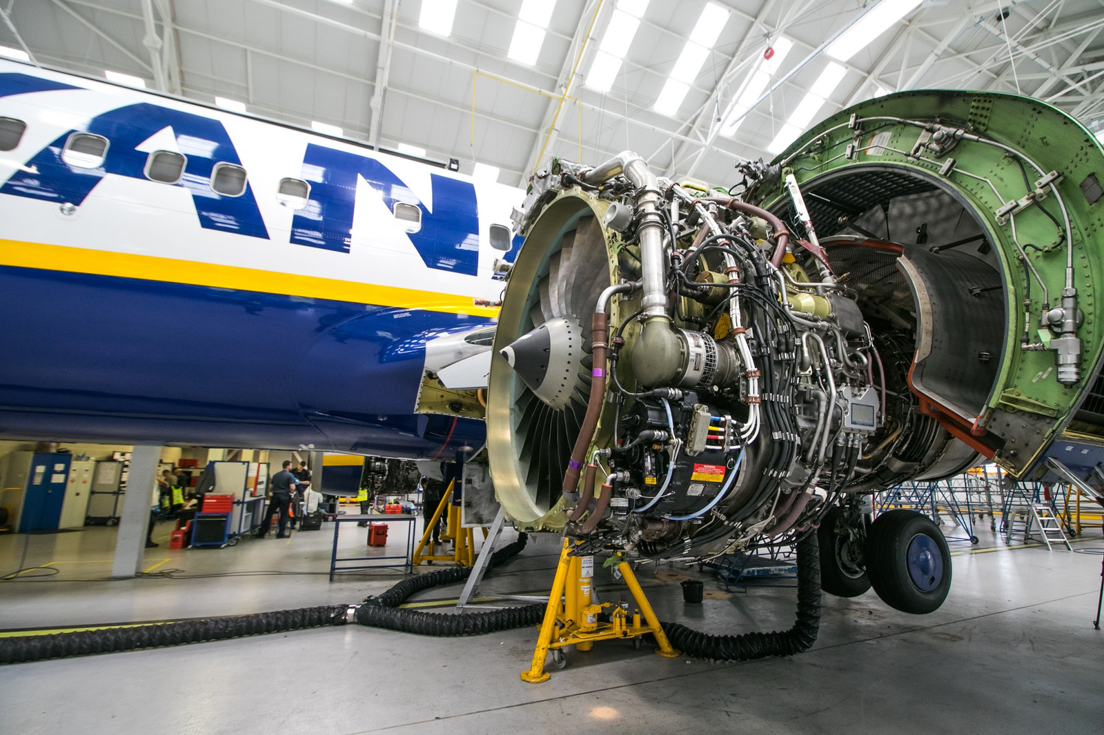 NTSB: Ryanair 737 engine had five suspected bird strikes before blade failure