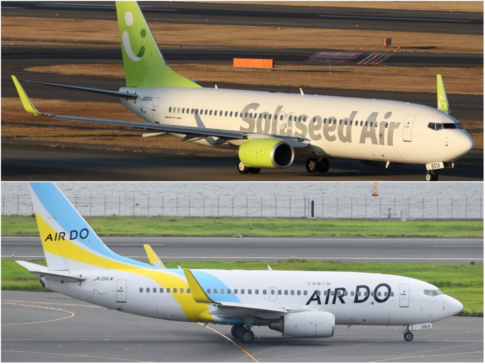 ANA mulls upping stake in two domestic operators