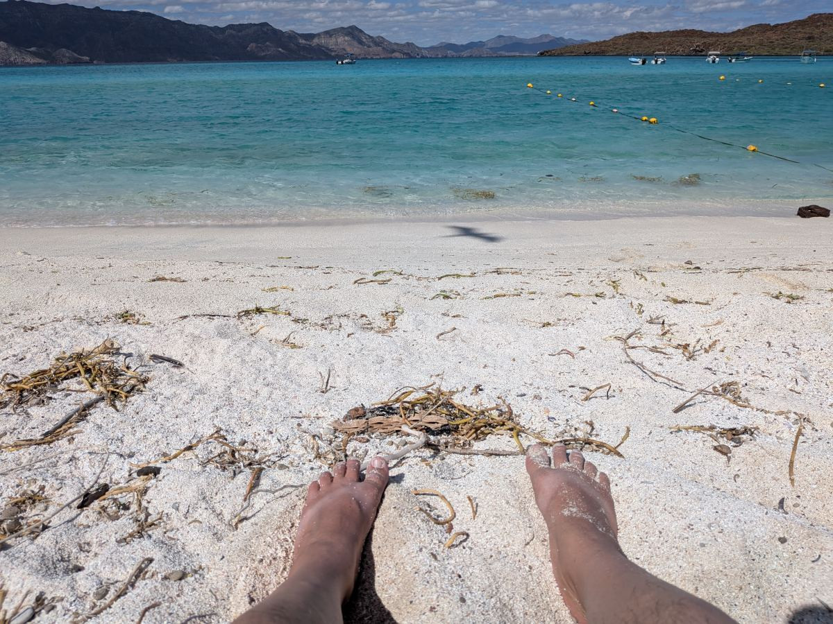 You Asked, I Flew to Loreto (Trip Report)