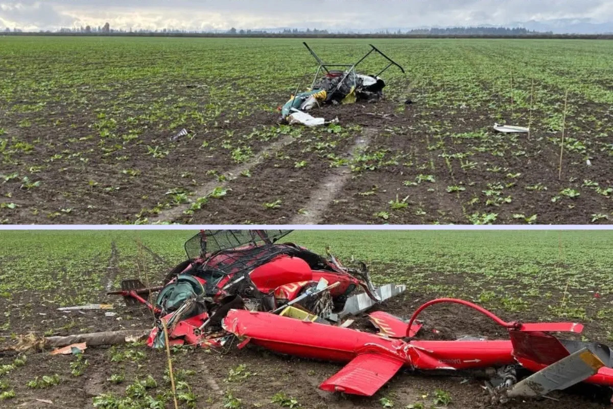 3 Dead After Midair Helicopter Collision in Oregon