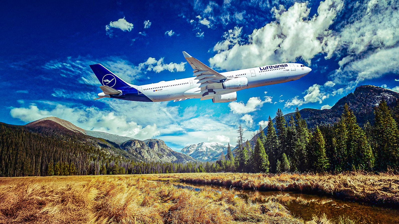 Lufthansa's Shark-Skin Surface Film Nears A330 Certification: Will It Save Flyers Money?