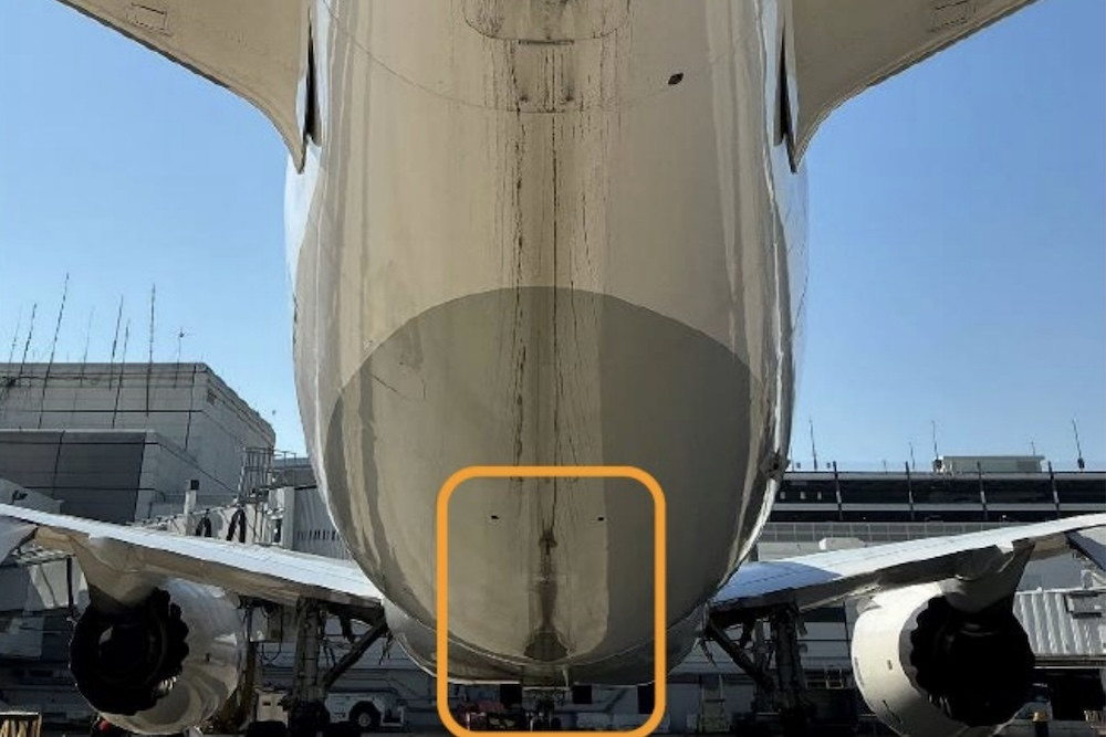 Captain accidentally pressed go-around switch before 787-9 tail-strike at Houston