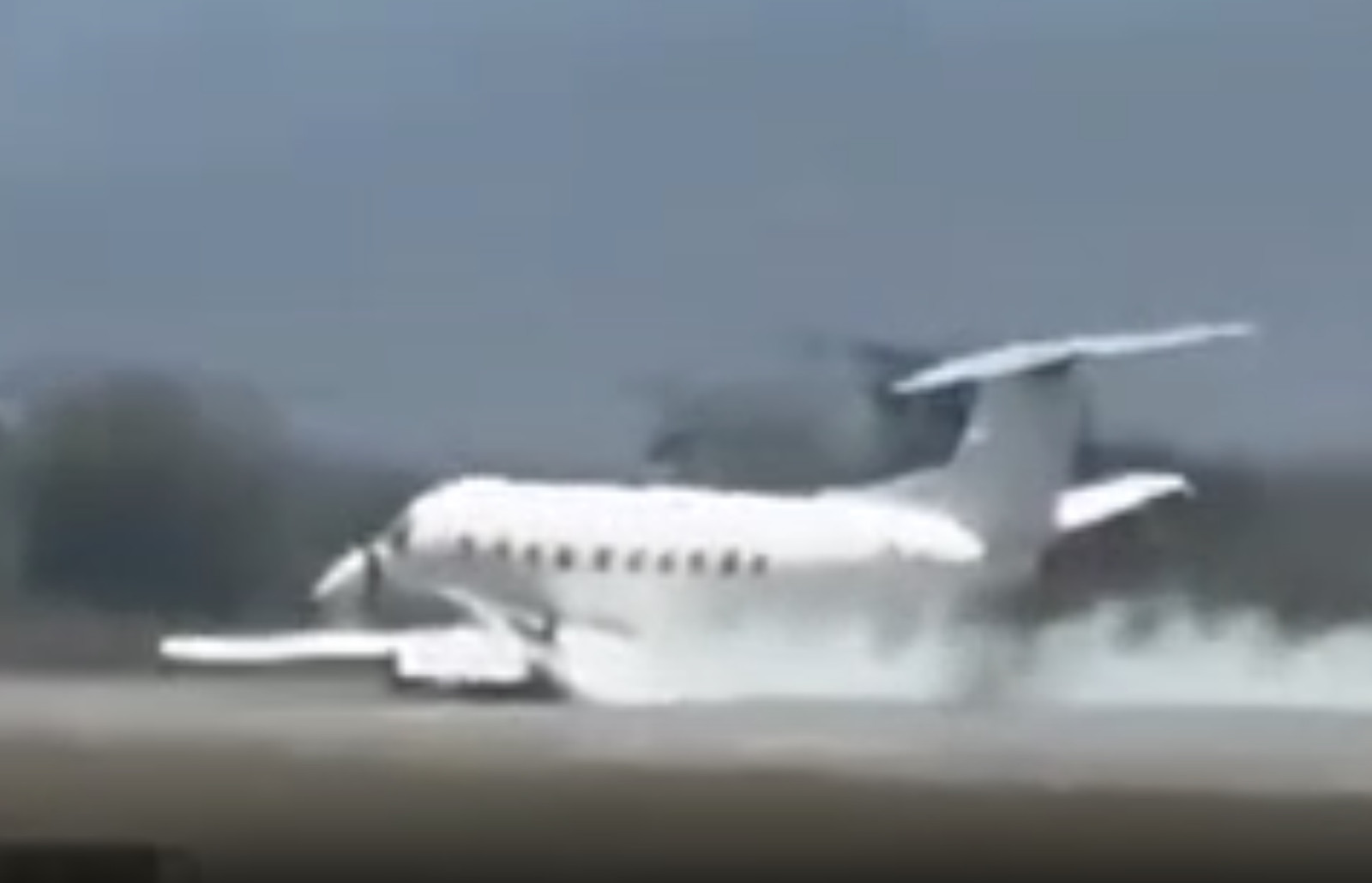 Tanzanian EMB-120 diverted to Kilimanjaro after colliding with zebra during Serengeti take-off