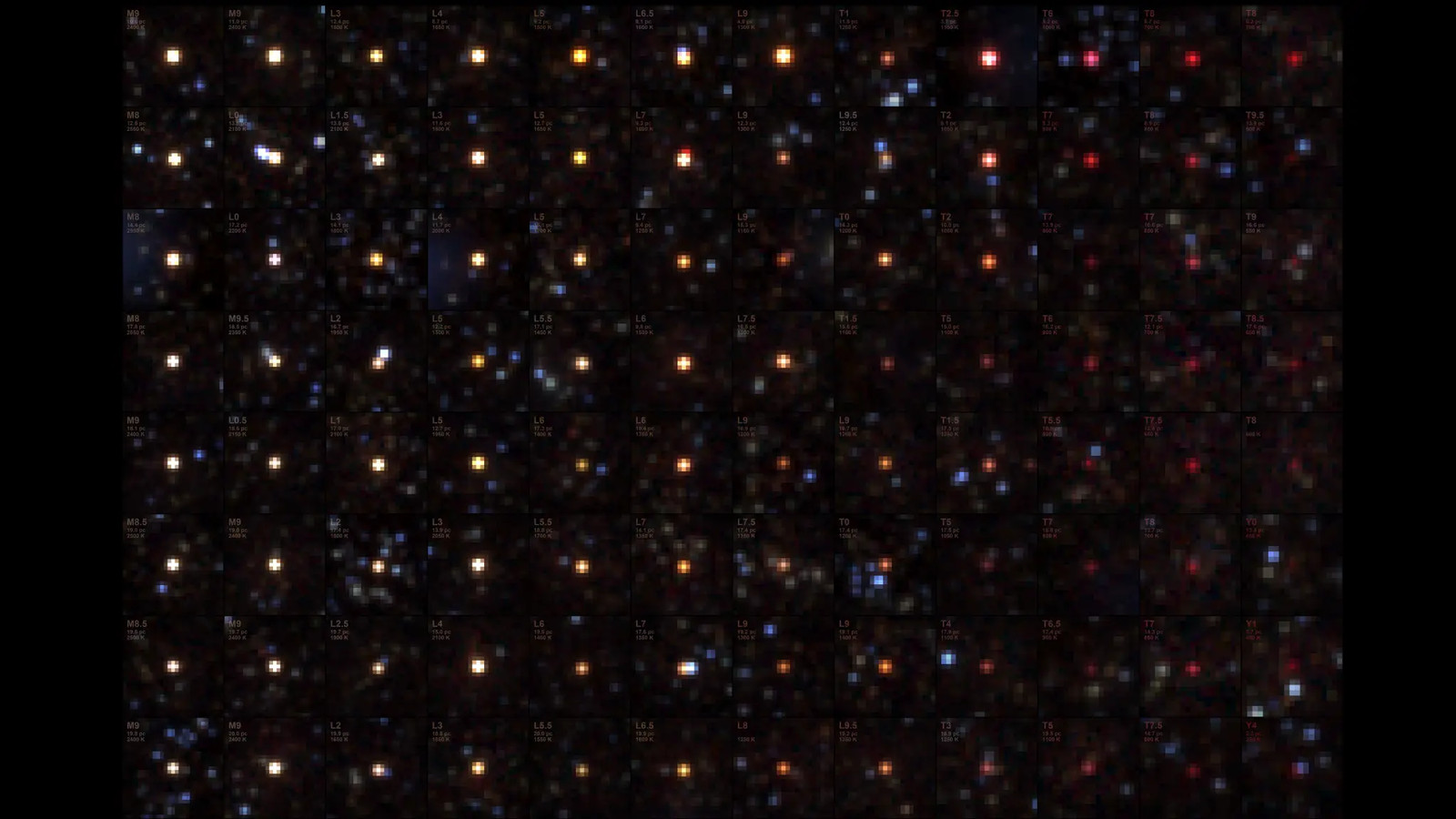 NASA’s SPHEREx Telescope Sees Menagerie of Brown Dwarfs
