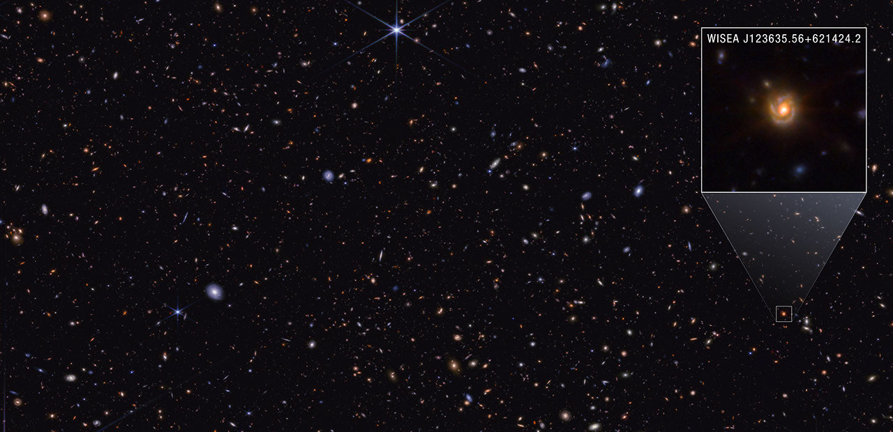 NASA Webb Explores Family Tree of Newly Discovered Distant Objects