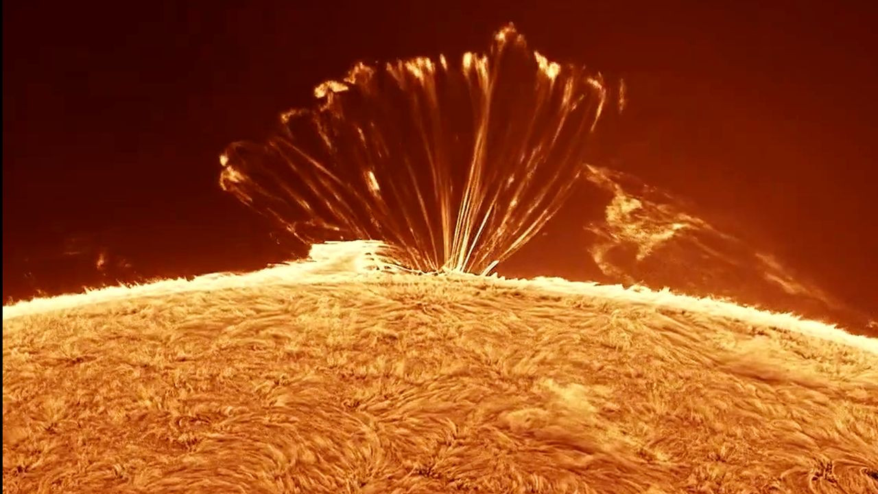 Mesmerizing plasma loops on the sun | Space photo of the day for Sept. 3, 2026
