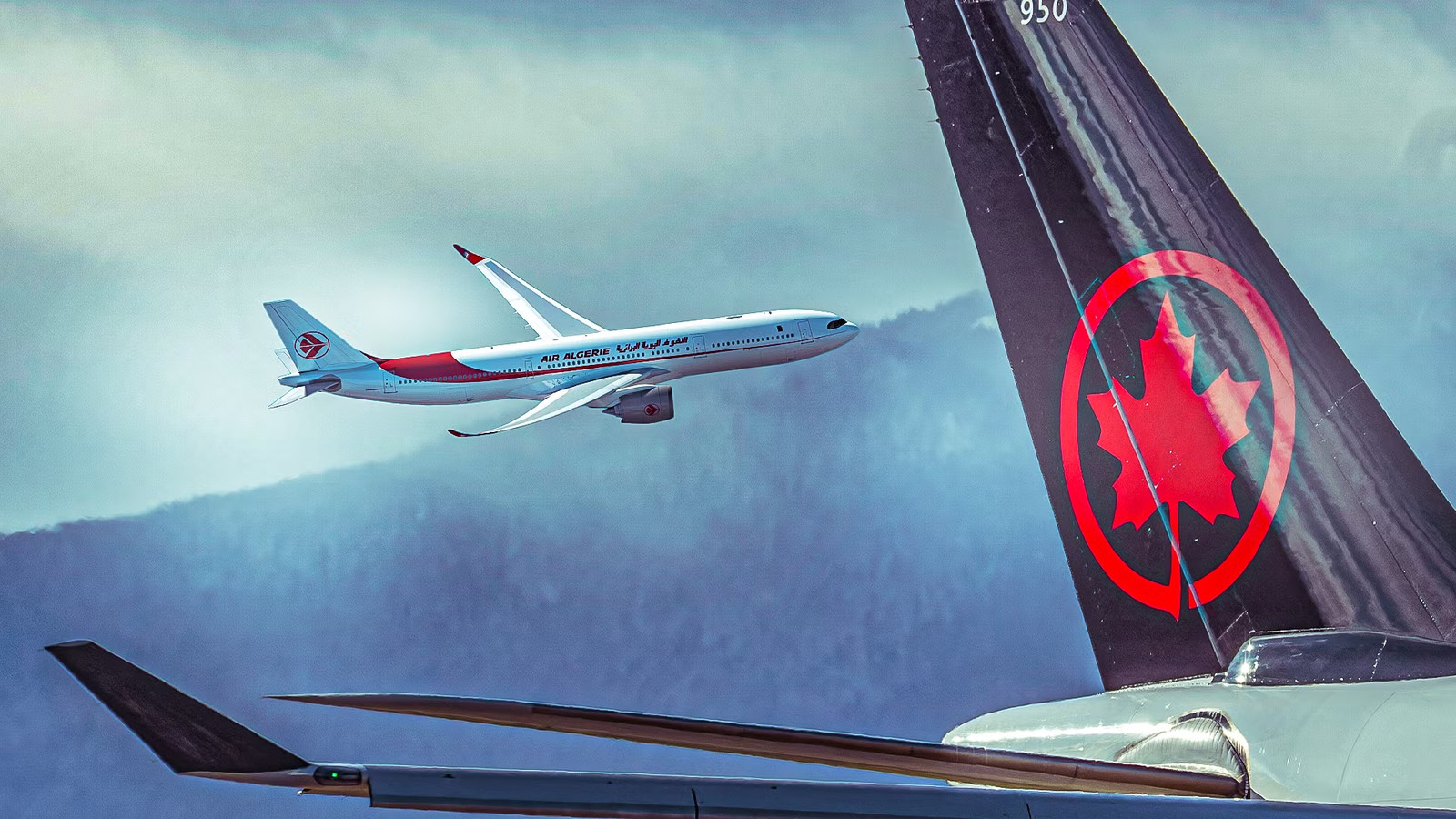 Air Canada Just Ceded Its Only Route To Algeria As Air Algérie Doubles Down With Airbus A330neos