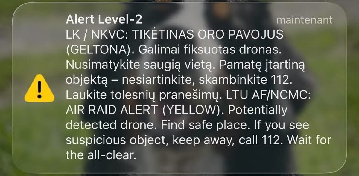 NATO jets scramble over Lithuania, find flock of birds behind Vilnius alert