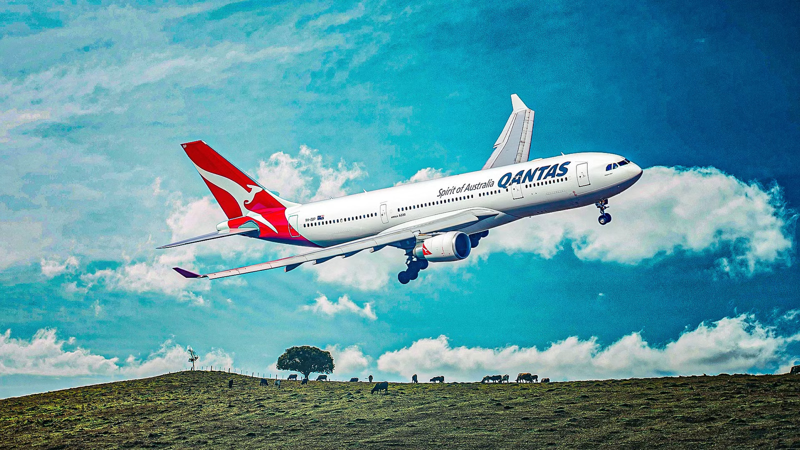 Qantas & Jetstar Launching 3 New Nonstop International Routes: See Full List Now