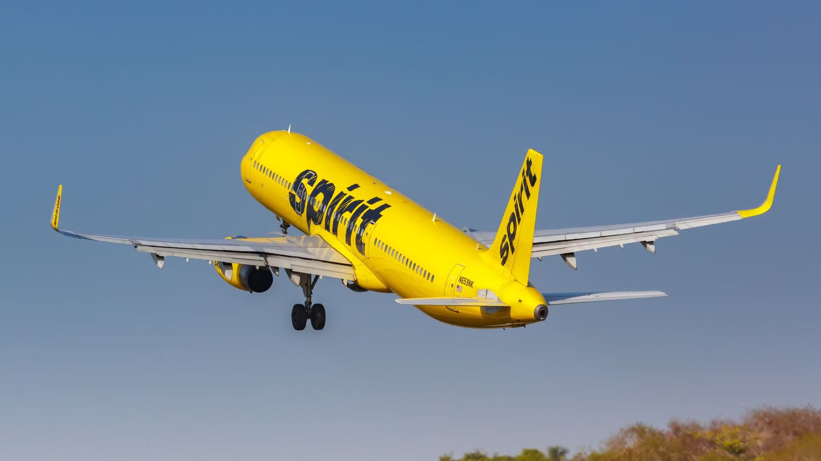 Google Purchases Spirit Airlines' Data In $10 Million Bankruptcy Deal To Help Train Its AI