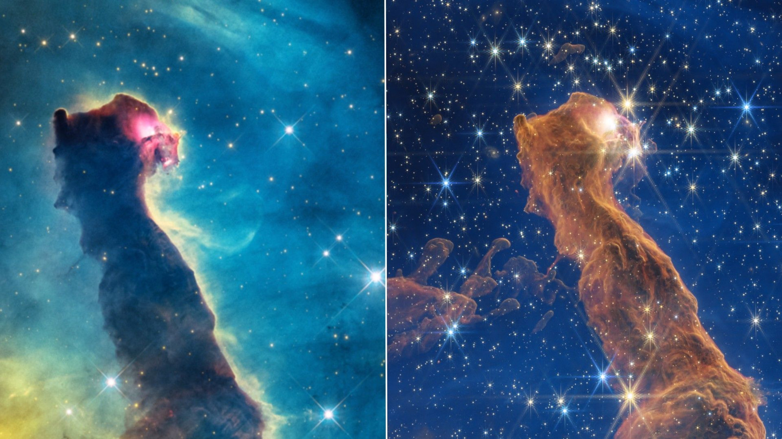 Ghostly Cat's Head Nebula haunts the cosmos | Space photo of the day for Oct. 30, 2026